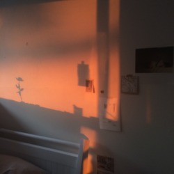 smallfragment:  my room a few evenings ago! the sunset was surreal