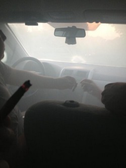 thatsgoodweed:  HOTBOX