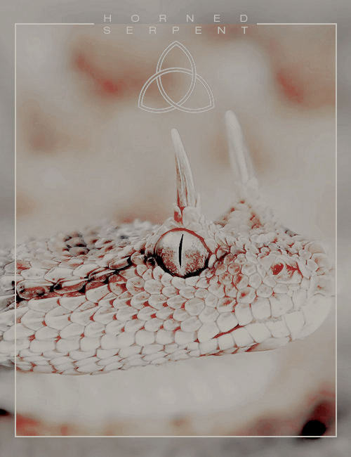 lxcuna:  Ilvermorny School of Witchcraft and Wizardry Houses : [ 1 / 4 ] Horned Serpent | Named