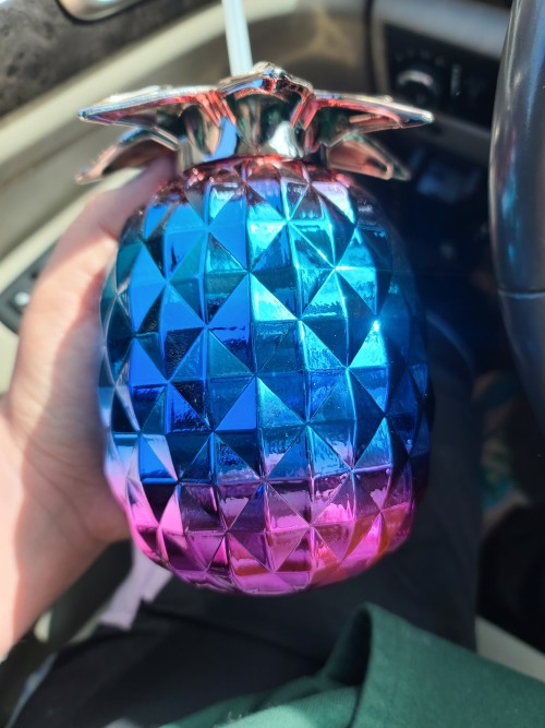 "Yo Bro Can You Hand Me My Drink, It's In The Bi Pineapple Chalice"