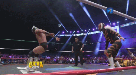 awesomebutternuggets:  Lucha Libre Elite - Lucha Azteca - July 28 2016Rocky Lobo