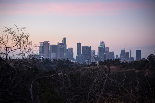 christophermfowler:Los Angeles, CA | January 2018