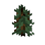 oldgrowthtaiga