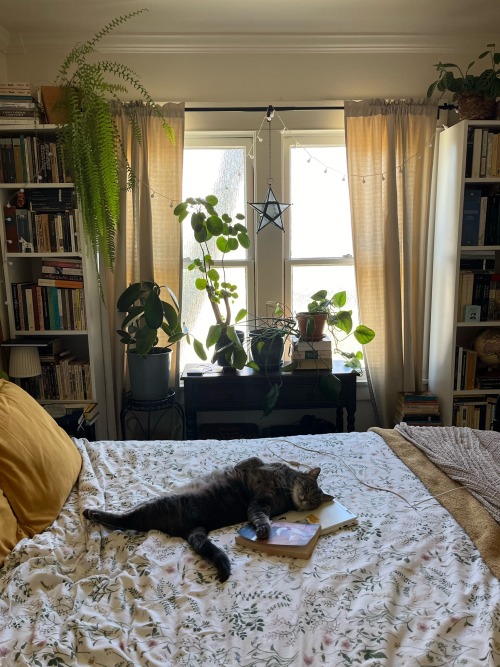 my-name-is-untitled - searching for belonging