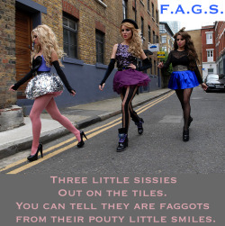 faggotryngendersissification:  F.A.G.S.