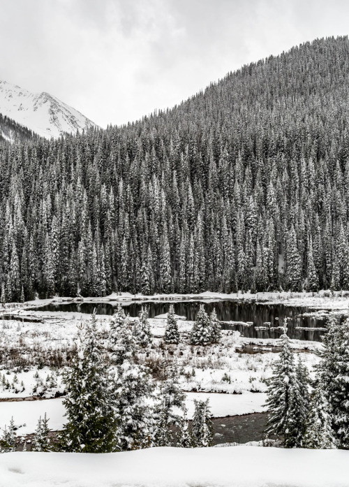 Telluride, Colorado. 2014.