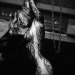 iwanttobeafirefly:✶ Firefly ✶