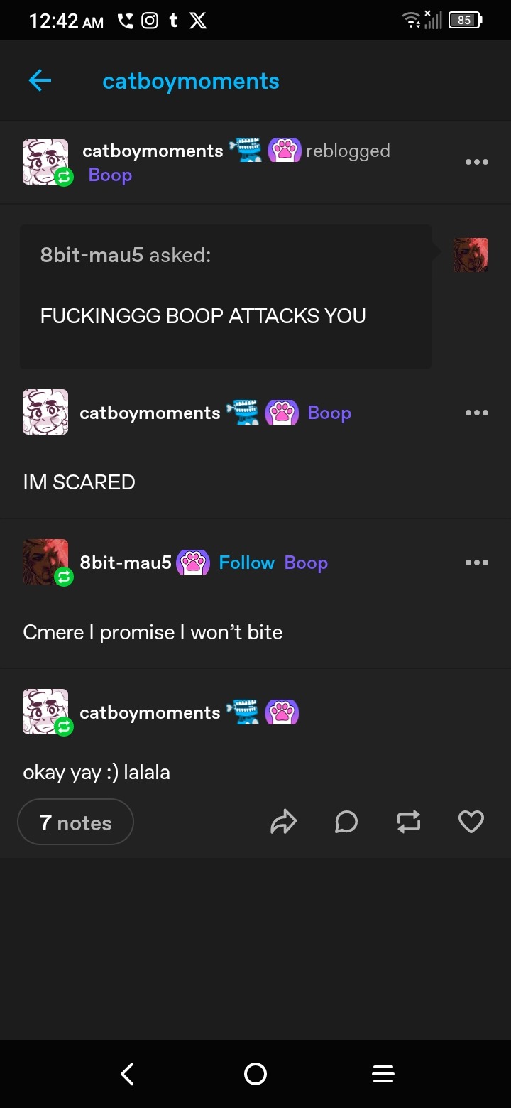 Tumblr media