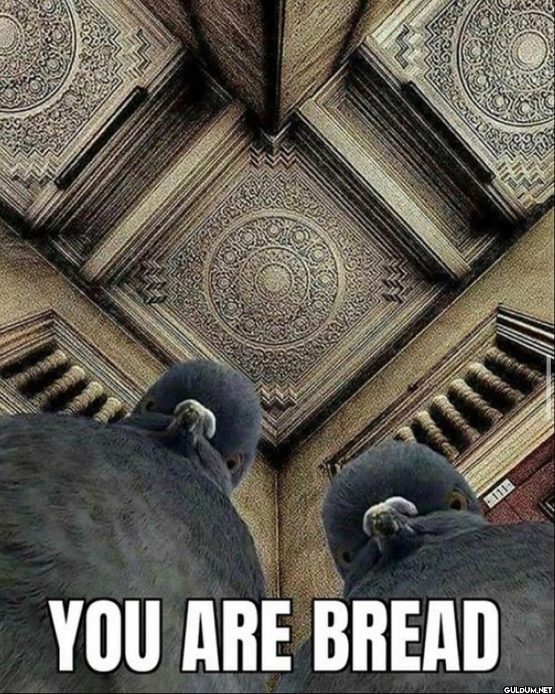 YOU ARE BREAD