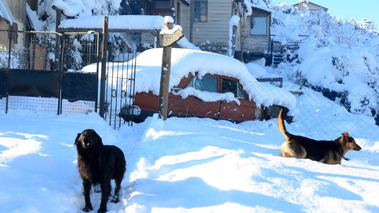 NEVADA. Bariloche vivió el día más frio de su historia y la nieve generó caos en la ciudad u sus alrededores. (Alfredo Leiva /diario rio negro)
MIRA TODA LA FOTOGALERIA