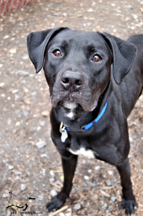 Doesn’t Peanut just have an adorable face? :)I promise, I’m getting back on track with t