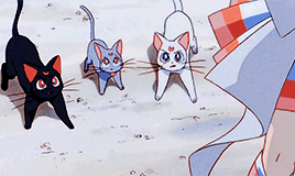 silvercrystal:Characters in Sailor Moon SuperS The Movie: Black Dream Hole↳ Artemis, Luna and Diana.