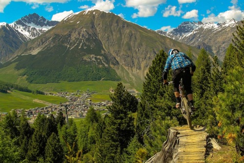 nitwitedgoose:  source www.pinkbike.com/photo/10564995/