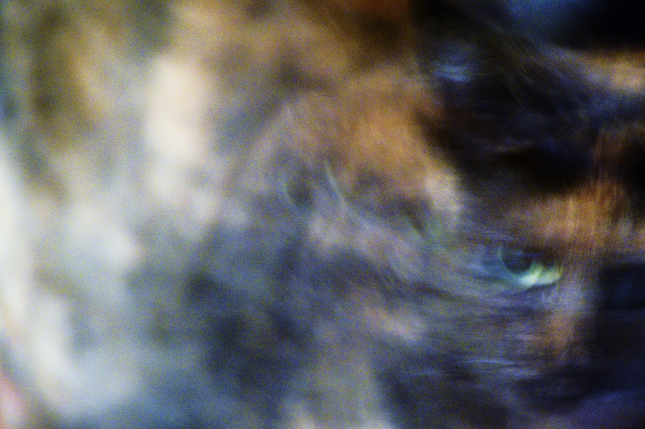 Tumblr Photo