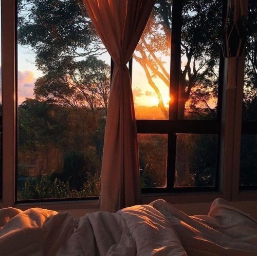 brookbooh:  Room view goals