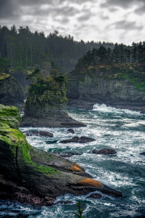 thepictorialist:A favorite spot of mine—PNW
