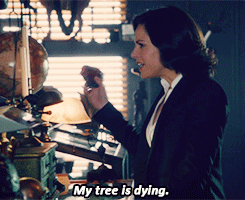 that-insane-shipper-girl:  fandomsswirrelz:  Mr. Gold & Regina ~In Gold’s shop.  I fucking love it when Regina and Rumple get sassy with each other, it’s hilarious. xD 