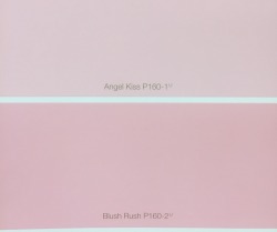 pastel-blaster: Pink colors 