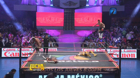 awesomebutternuggets:  Lucha Libre Elite - Lucha Azteca - July 28 2016Rocky Lobo