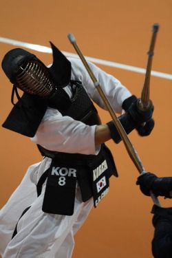 codeofbushido43:    World Kendo Championship