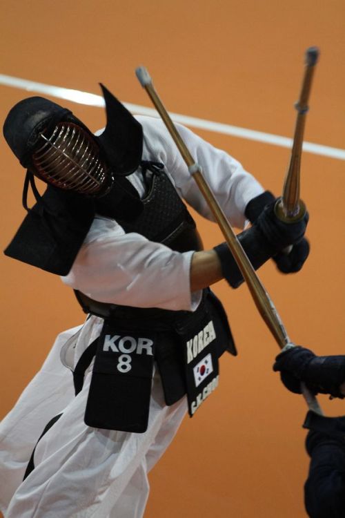 XXX codeofbushido43:    World Kendo Championship photo