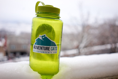 adventurecatsorg:When you purchase shirts, beanies and other items from the Adventure Cats store, a 