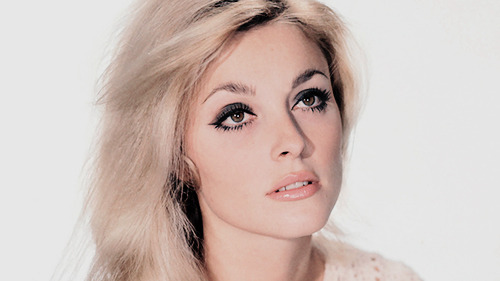 Porn  Sharon Tate photographed by Pierluigi Praturlon, photos