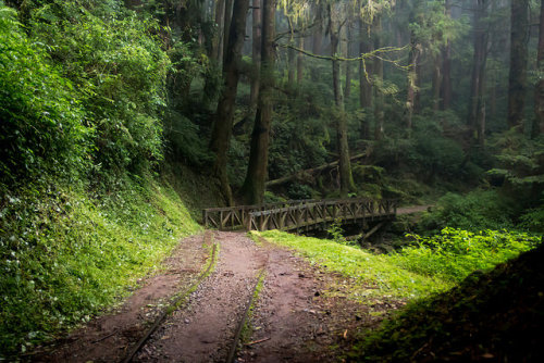 嘉義．特富野古道行_025 by teamo001314 on Flickr.