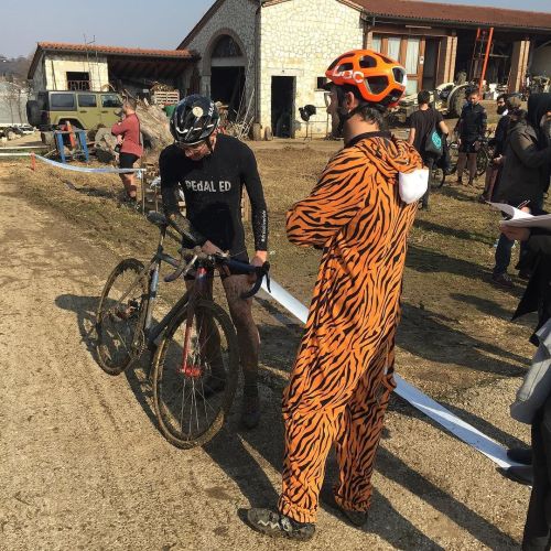 pedaled-japan: Fun at tiger cross #cyclocross #Dressliveride #cyclinglife ift.tt/1KA8hp4