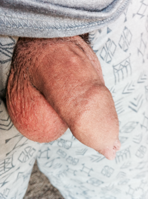 http://mrnopantsnoway.tumblr.com/post/100051856801