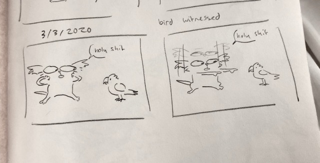 finchwingart:Tiny studies of wild birds I saw today in Melbourne aus! plus accurate reaction of when i saw my first wild cockatoo