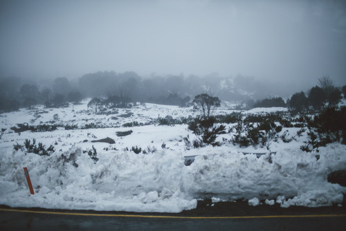 theadventuretruck: At the top of Mount Buffalo we found snow! This was Cuong and Isaiah’s first tim