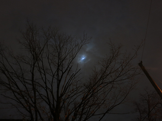 winterfellis:  IMG_0047 by Andre Vautour on Flickr.