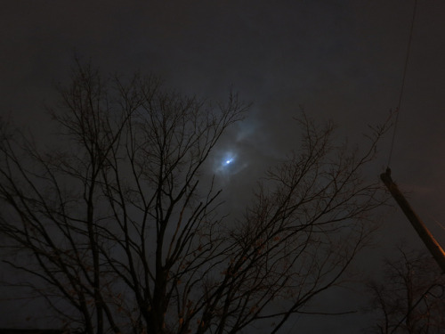 winterfellis:  IMG_0047 by Andre Vautour on Flickr.