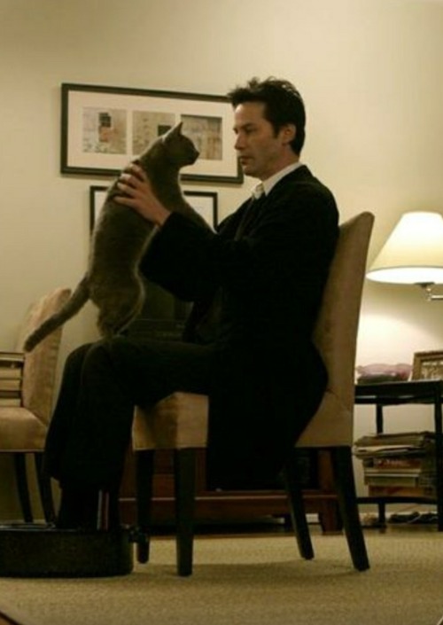 parks-and-rex: boobies-are-candy:  parks-and-rex:   parks-and-rex:   mcthedoodler:   parks-and-rex:   parks-and-rex:   parks-and-rex:   justcuchu:   parks-and-rex:   parks-and-rex:  REBLOG IF YOU LOVE DOGS     MAYBE I’M SMALL AND EMOTIONALLY UNSTABLE
