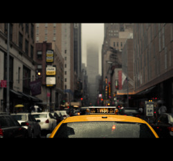 somethingwell:  new york by julien coquentin