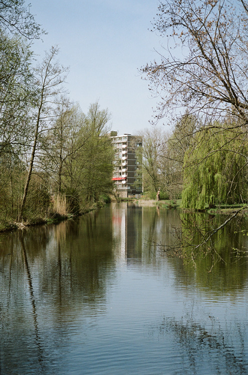 “Spring in Amsterdam”Amsterdam - 2022Leica M6 - Kodak Portra 160 + 400