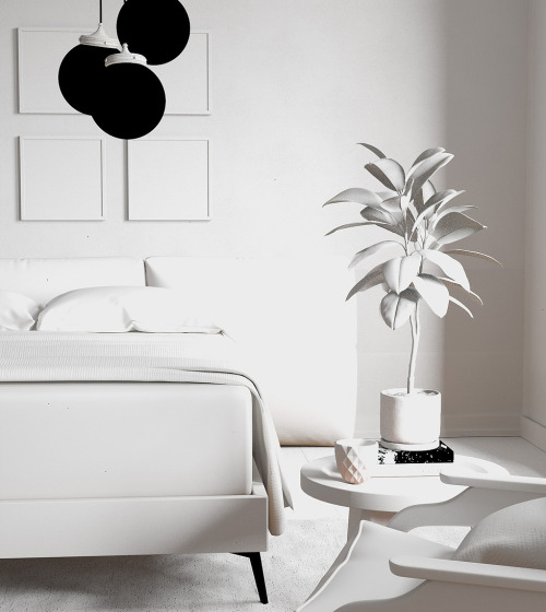 MODERN & CLASSY