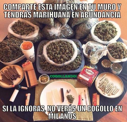 fumenbueno:  yap ahora…. hay que compartir a compartir que yo con marihuana quiero vivir!!!
