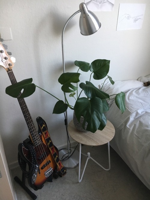 aesthetic bedroom