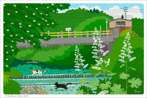 イラストレーター森俊憲の描く、猫のイラスト『たびねこ』シリーズの新作です。夏の里山の川を渡る猫2匹。『夏の川を渡る』使用ソフト：Adobe Illustratorこのイラストを使ったカレンダーやポスト