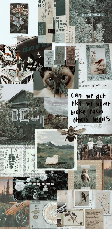  random collage wallpapers! like or reblog if u save! ♡ 