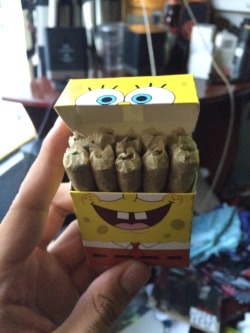 smokeeatfallasleep:  Spongebob 