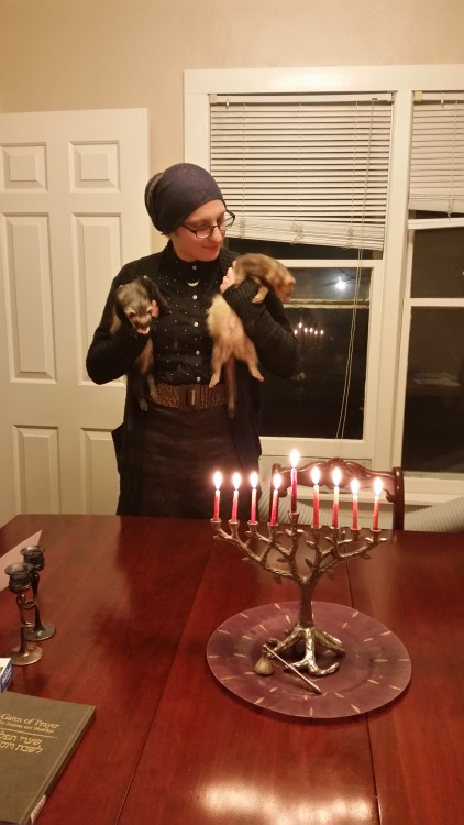 Happy last night of Chanukah from the whole household!feat. me, my partner, our hanukcats and hanu&h