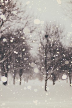 ivvvoo:  Snow flurries