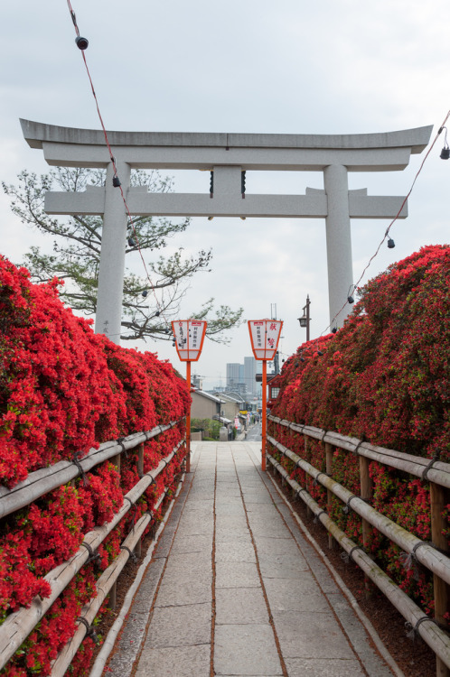 tumblr photo watashi-wa-otaku-desu 0
