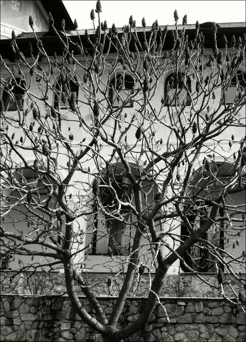 yama-bato2:©yama-batoHoly Trinity - Feleacu Monastery ,Romania