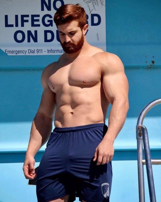 talesofthealpha: muscleorlando:    Something thick for my dick. 