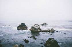 melepeta:  Point Lobos by Ezekiel.vg on Flickr.