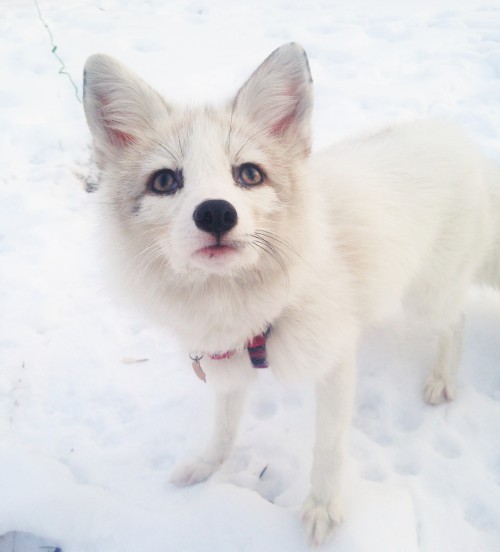 Playing in the snow! 